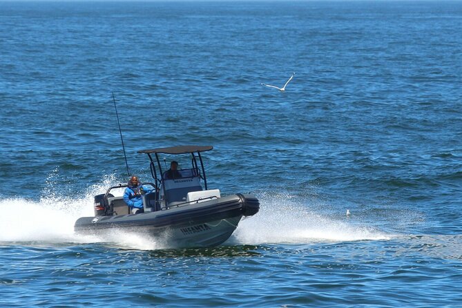 1 Day Whale Watching at Yzerfontein - Meganova and the feel of a small RIB