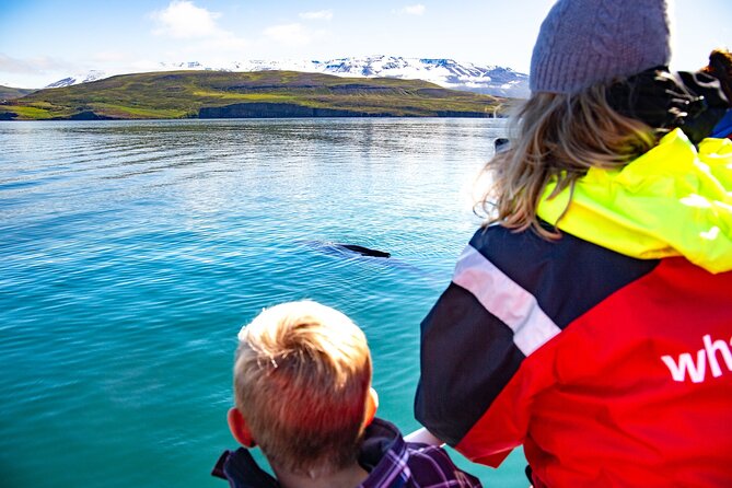 100% Whale Watching - Key points at a glance