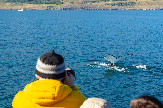 100% Whale Watching - Hot chocolate, coffee, and cookies on the return
