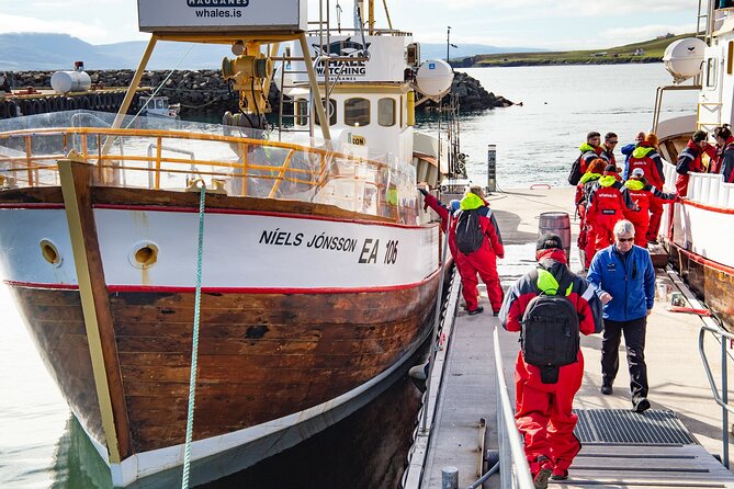100% Whale Watching - The first 25 minutes on the water