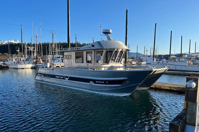 14 passenger Whale Watching Tours in Icy Strait aka Hoonah AK - Mother-and-Calf Sightings and Other Wildlife