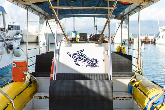 2.5 Hour Whale Escape Tour - The boat, comfort, and family fit
