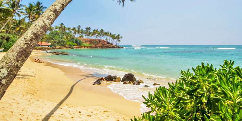 2-Day Whale Watching & Southern Sri Lanka Tour - Key points to know before booking