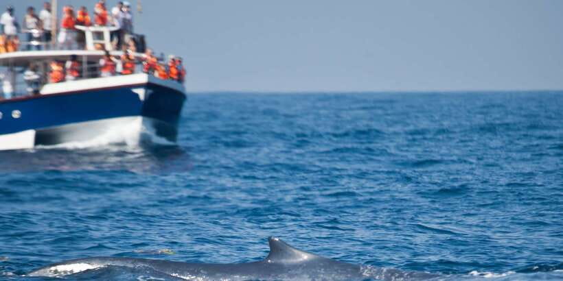 2-Day Whale Watching & Southern Sri Lanka Tour - Galle Fort deserves more than a quick photo