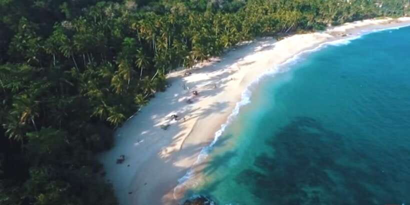2-Day Whale Watching & Southern Sri Lanka Tour - Turtle conservation and Hikkaduwa’s sea life