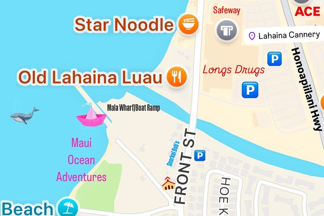 2 Hour Afternoon Lahaina Whale Watch - What the guides add to the trip