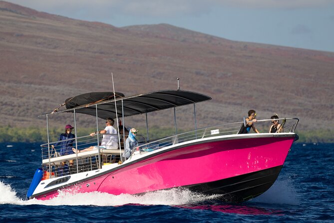 2 Hour Afternoon Lahaina Whale Watch - Is the two-hour format good value?