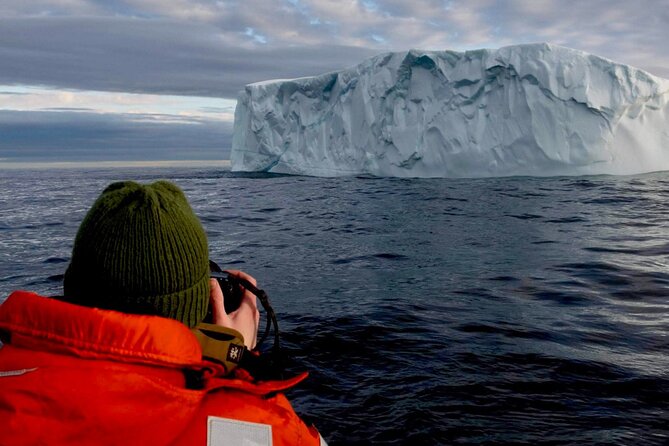 2 Hour Award-Winning Whale and Seabird Boat Tour from St. John's - Leaving St. John’s harbour from Pier 6