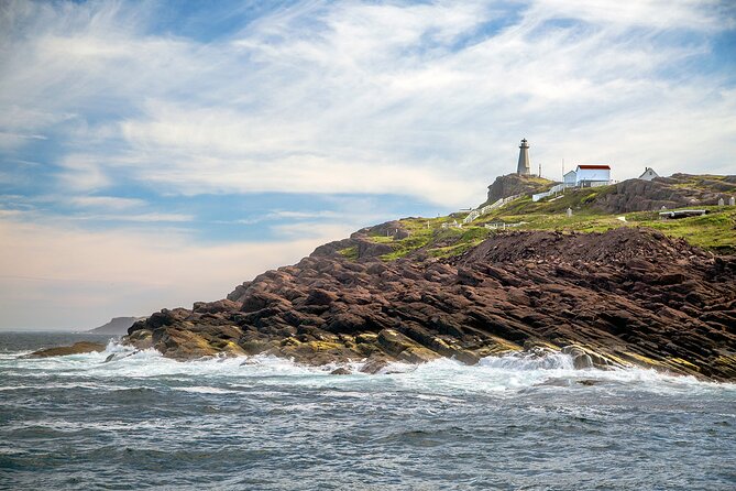 2 Hour Award-Winning Whale and Seabird Boat Tour from St. John's - Is $112.65 a fair price for two hours?