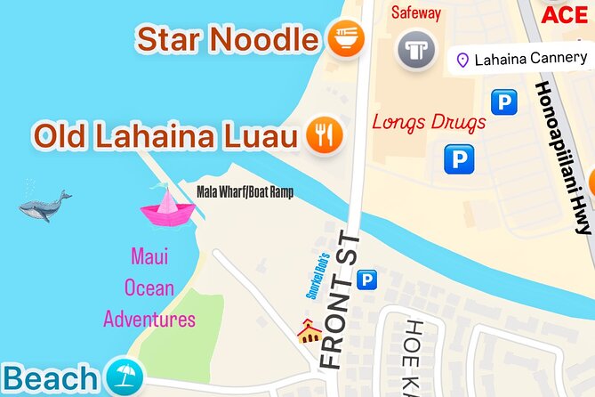 2 hour Lahaina Sunrise Whale Watch - A boat where every seat can work