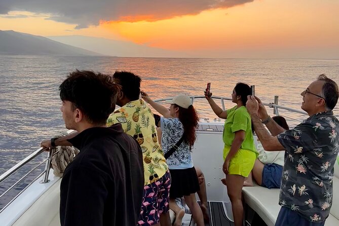 2 hour Lahaina Sunrise Whale Watch - Searching Maui’s whale sanctuary