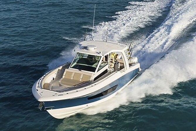 2-Hour Ma'alaea Humpback Whale Watching Cruise for up to 6 Guests - What the whale encounters can really be like
