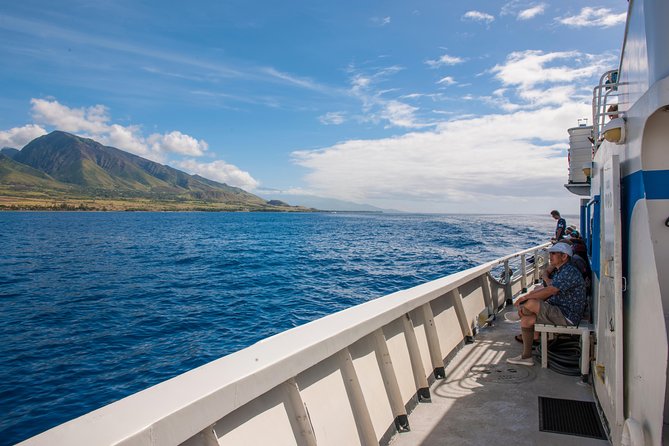 2-Hour Oahu Whale Watch from Ala Wai Harbor, Waikiki - Diamond Head from the ocean