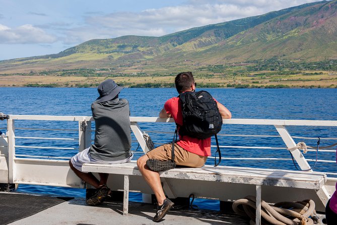 2-Hour Oahu Whale Watch from Ala Wai Harbor, Waikiki - Choosing the upper deck or main cabin