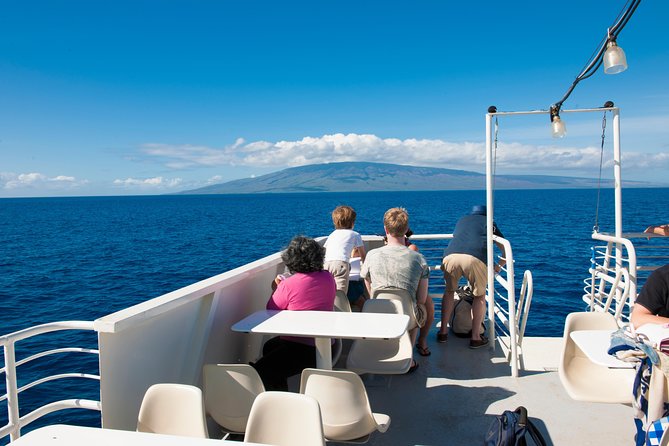 2-Hour Oahu Whale Watch from Ala Wai Harbor, Waikiki - Hearing whales below the boat