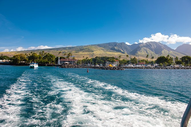 2-Hour Oahu Whale Watch from Ala Wai Harbor, Waikiki - What the $49.95 price really includes