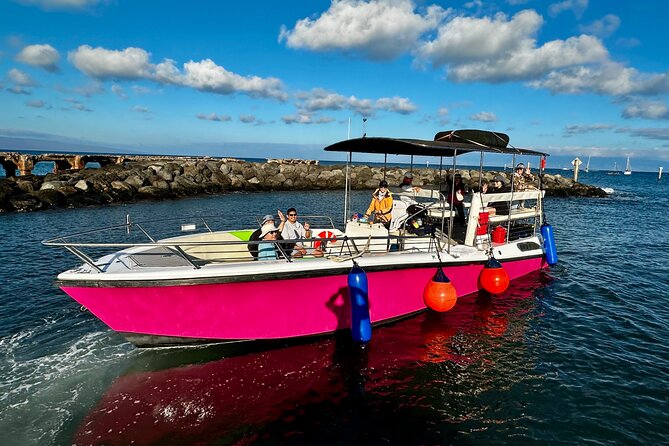 2 Hour Prime Time Maui Whale Watching - Timing the trip for Maui’s whale season