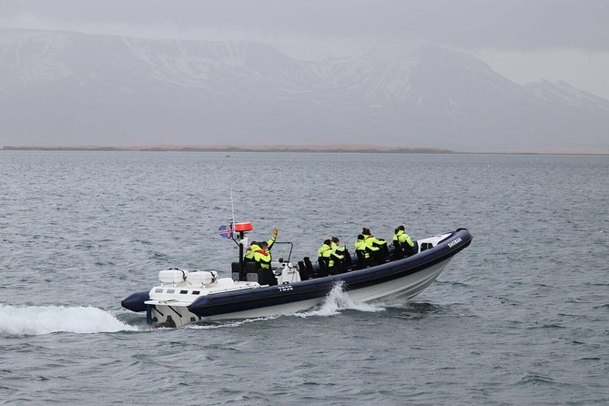 2-Hour RIB Boat Whale Watching Tour from Reykjavik - Leaving Reykjavik from the Old Harbour