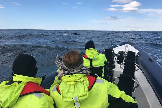 2-Hour RIB Boat Whale Watching Tour from Reykjavik - The Ride: Smooth Seats, Rough Water