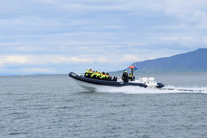 2-Hour RIB Boat Whale Watching Tour from Reykjavik - Weather, Cancellations, and Practical Risk