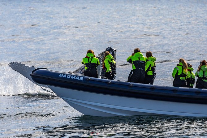 2-Hour RIB Boat Whale Watching Tour from Reykjavik - Who Will Enjoy This Reykjavik Whale Tour?