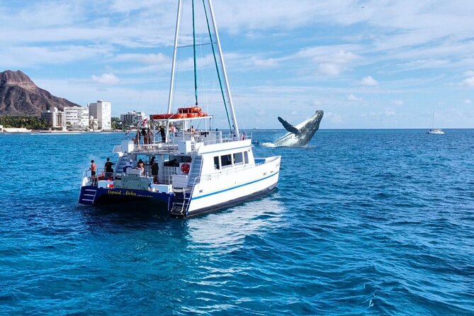2 Hour Waikiki Whale Watching Cruise from Oahu - What the two-hour cruise is really like
