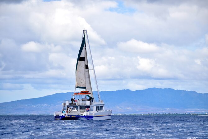 2 Hour Waikiki Whale Watching Cruise from Oahu - Is $40 a fair price?