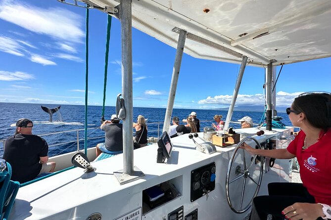 2 Hour Waikiki Whale Watching Cruise from Oahu - Waikiki Beach from offshore