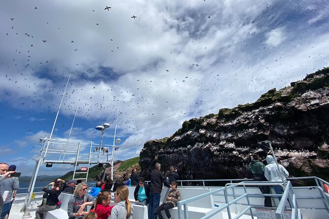 2 Hours Guided Whale and Bird Boat Tour in Bay Bulls - Why the Witless Bay reserve is the real attraction