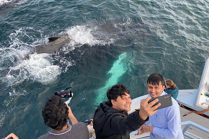 2 Hours Guided Whale and Bird Boat Tour in Bay Bulls - Who will enjoy this boat trip most?