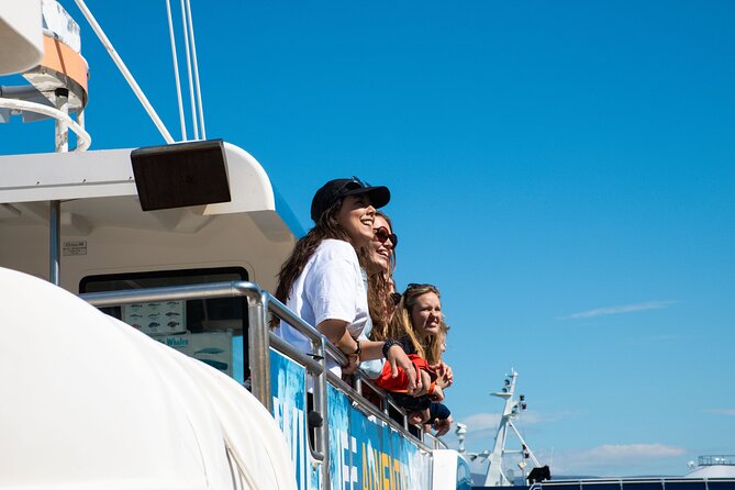 2 Hours Whale Watching Express Adventure - The wildlife experience, without false promises