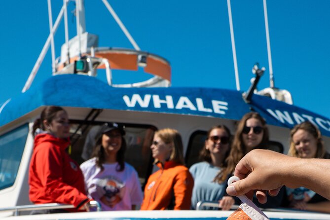 2 Hours Whale Watching Express Adventure - Is $98 a fair price?
