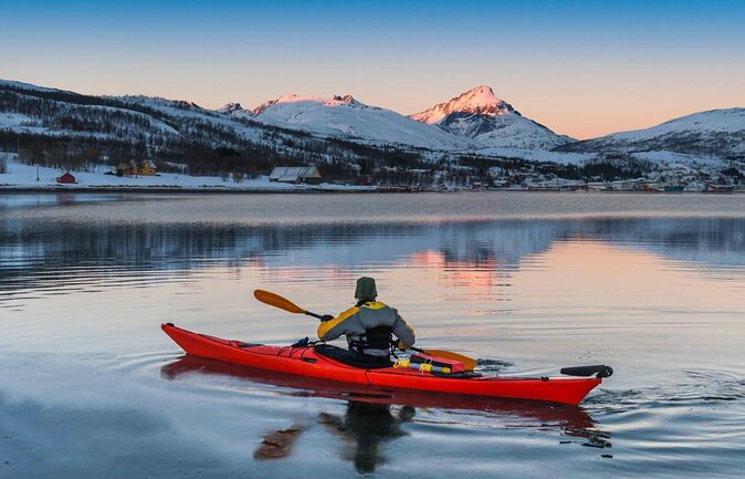 24hr Northern Lights & Whale Watching Cruise - Why this 24-hour Tromsø cruise makes sense
