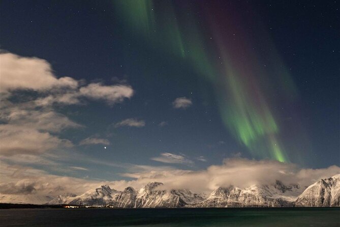 24hr Northern Lights & Whale Watching Cruise - Northern Lights talks in the Panorama lounge