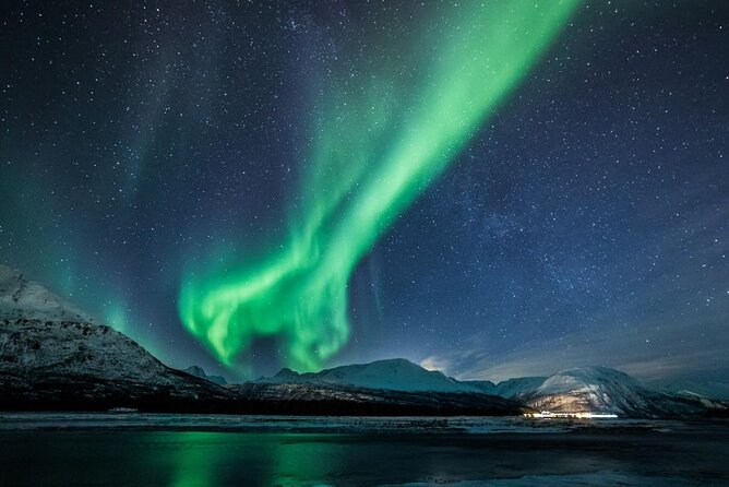 24hr Northern Lights & Whale Watching Cruise - Who will get the most from this cruise