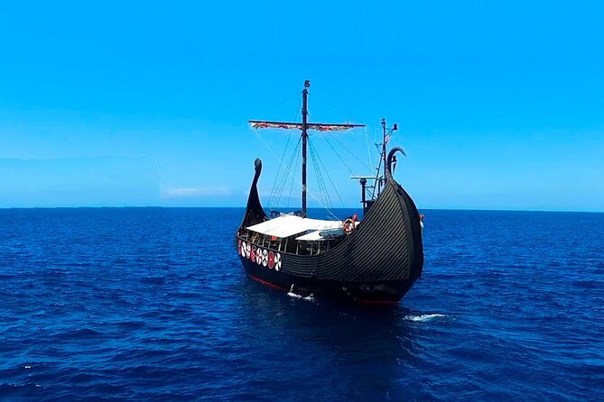 2h Viking Cruise Whales & Dolphins Watching - The southern Tenerife coast from the water