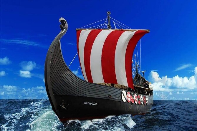 2h Viking Cruise Whales & Dolphins Watching - Family entertainment without a full-day commitment