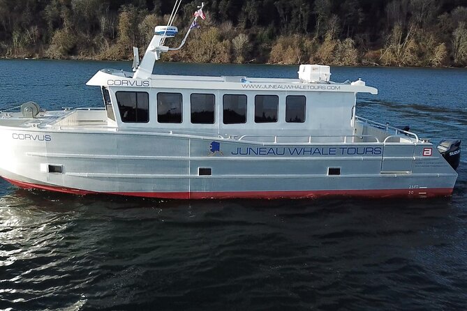 3.5 Hour Crowd-Skipping Whale Tour in Juneau, Alaska - Why this small Juneau boat matters