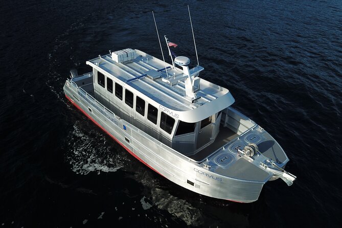 3.5 Hour Crowd-Skipping Whale Tour in Juneau, Alaska - Two hours on the water around Auke Bay