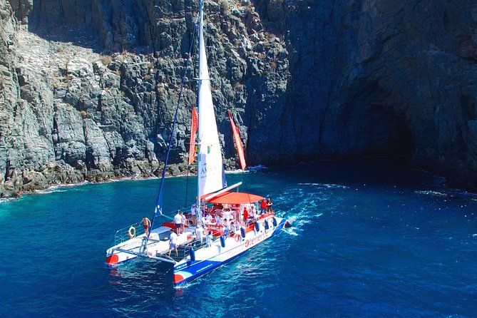 3-hour Whale and Dolphin Watching and Listening Tour - Key points to know before booking