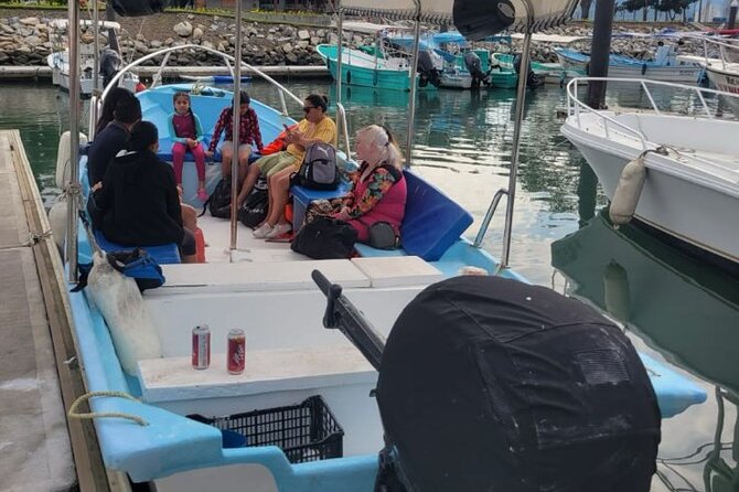 3 Hours of Whale Watching in Puerto Vallarta - What the $55 price really buys