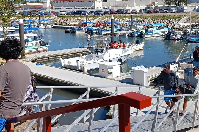 3 Hours of Whale Watching in Puerto Vallarta - Comfort, shade, and seating