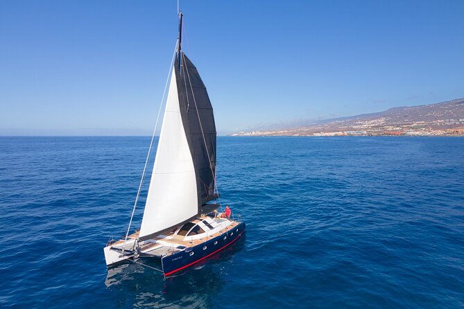 3 hrs. Whale Watching and Relaxing Chill Out Catamaran with glass floor - Key points to know before you book