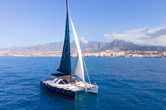 3 hrs. Whale Watching and Relaxing Chill Out Catamaran with glass floor - Sailing back along Tenerife’s west coast