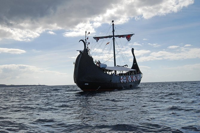3h Viking Cruise with Drinks, Whales watching & Swimming Time - Swimming in the open sea