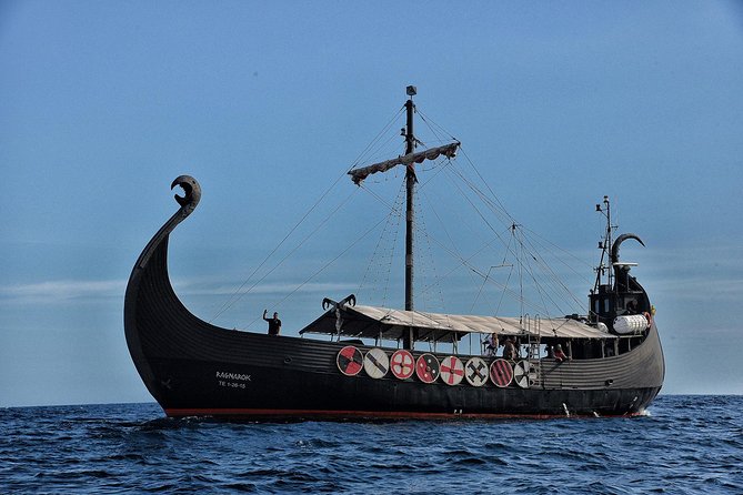 3h Viking Cruise with Drinks, Whales watching & Swimming Time - Families, mobility, and who should choose this trip