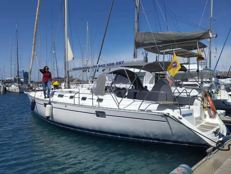 3h Whale Watching Private tour Beneteau Oceanis 440 - Key points to know before booking