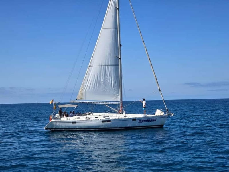3h Whale Watching Private tour Beneteau Oceanis 440 - Searching for pilot whales in Tenerife’s Atlantic waters