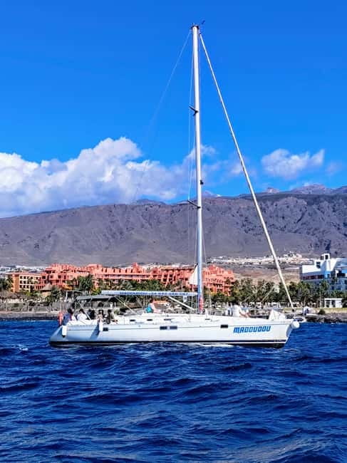 3h Whale Watching Private tour Beneteau Oceanis 440 - A comfortable yacht for a small private group
