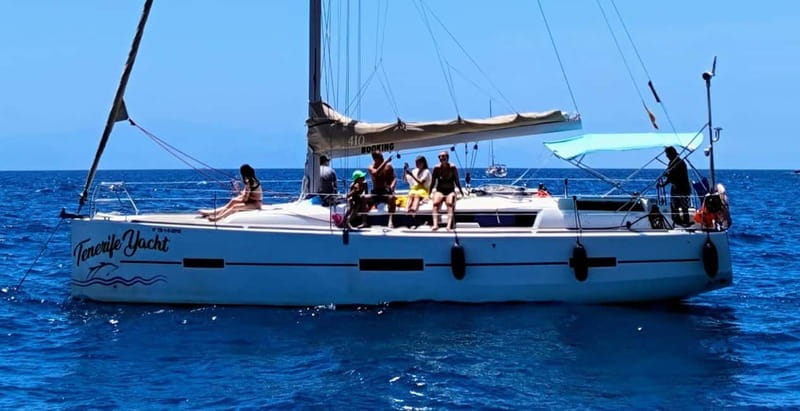 3h Whale Watching Private Tour Costa Adeje Lina7 Mizendoha - Searching for pilot whales off Tenerife